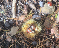 Gefühle vor und nach der Abstinenz